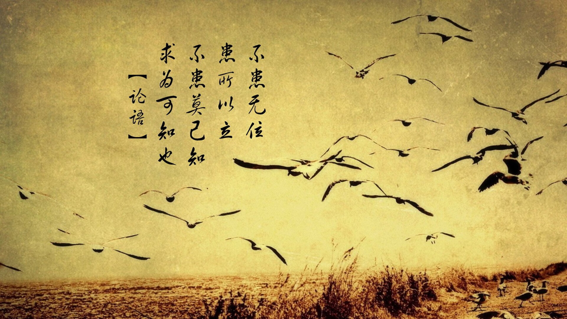 随机女足全球锦标赛闭幕，球员共同欢庆，女足 全运