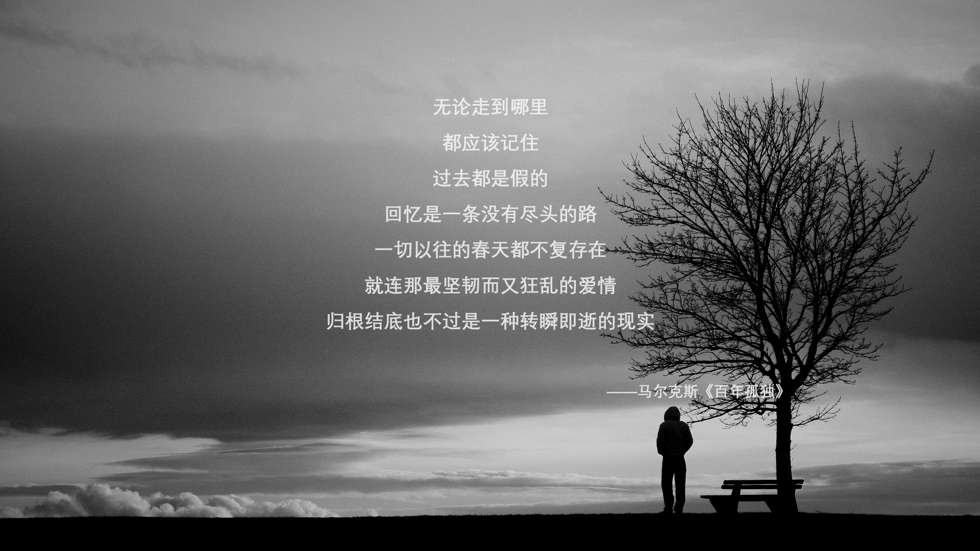 随机女足世界杯目标明确，团队凝聚力增强，女足世界杯比赛规则