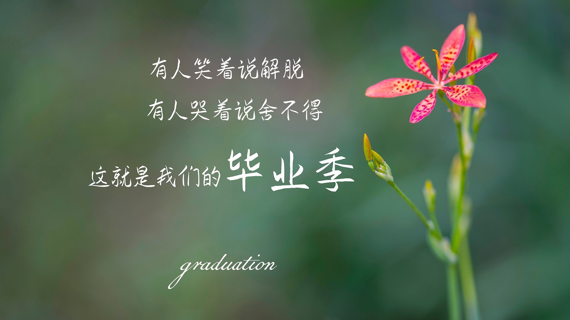 快船进攻如潮乔治连得二十，乔治快船首秀