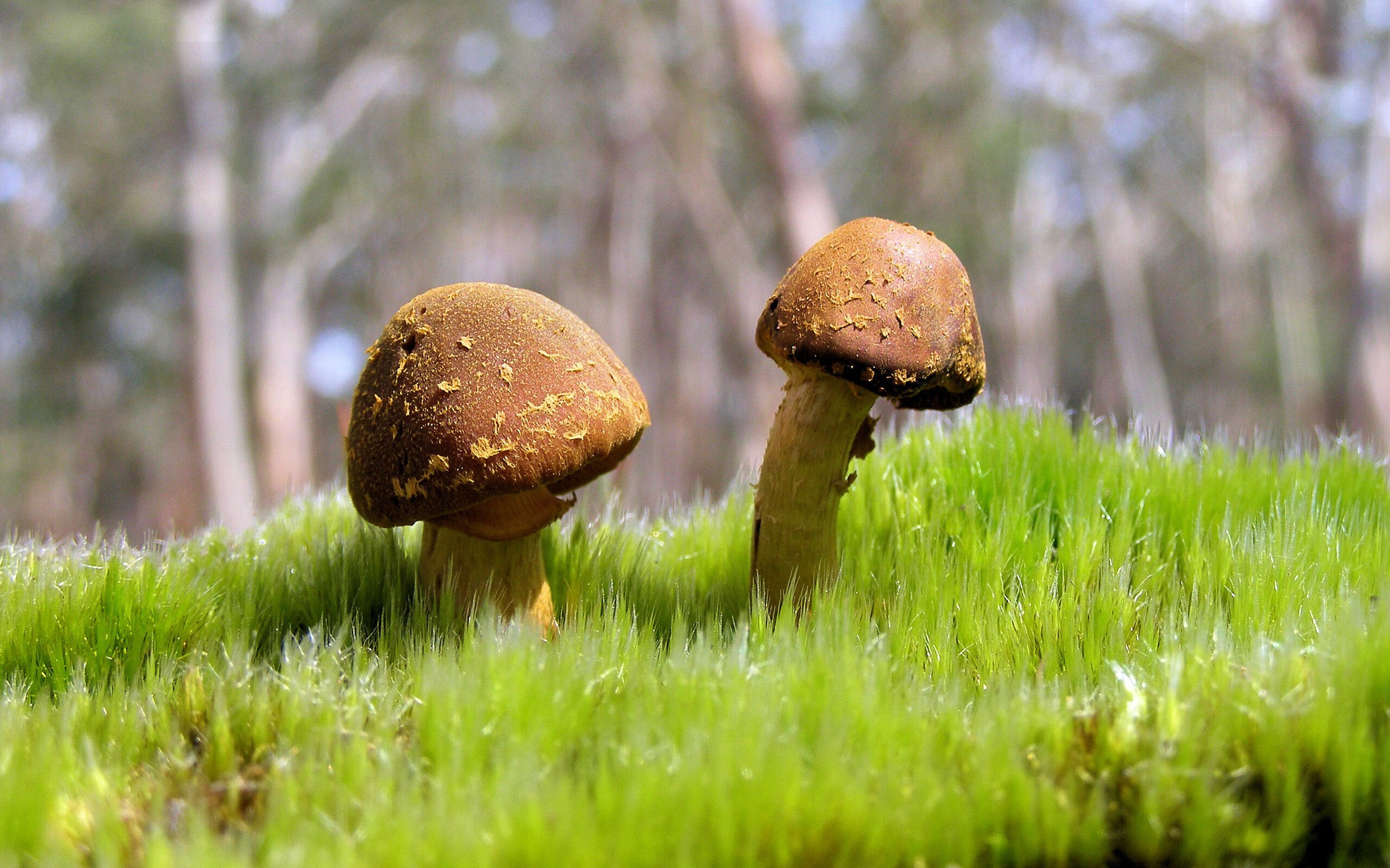 辽宁迎战武汉,中超豪强实力对拼,中超 辽宁