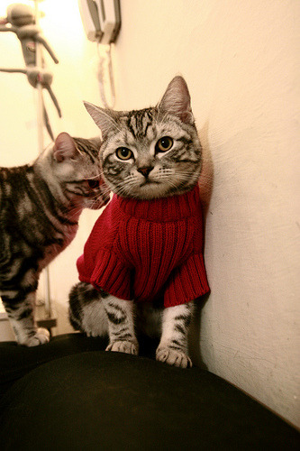 沃尔夫斯堡积极控球限制对方进攻展开,沃尔夫斯堡主力