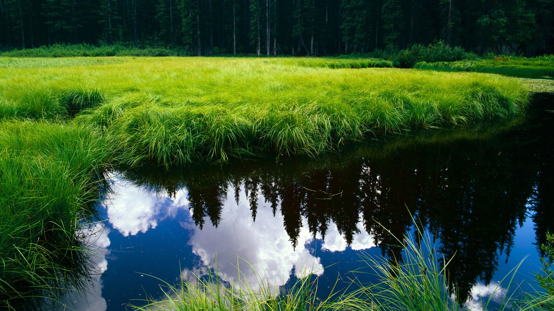 技术团队优化视频分析系统提升赛前战术准备效率,视频团队展示