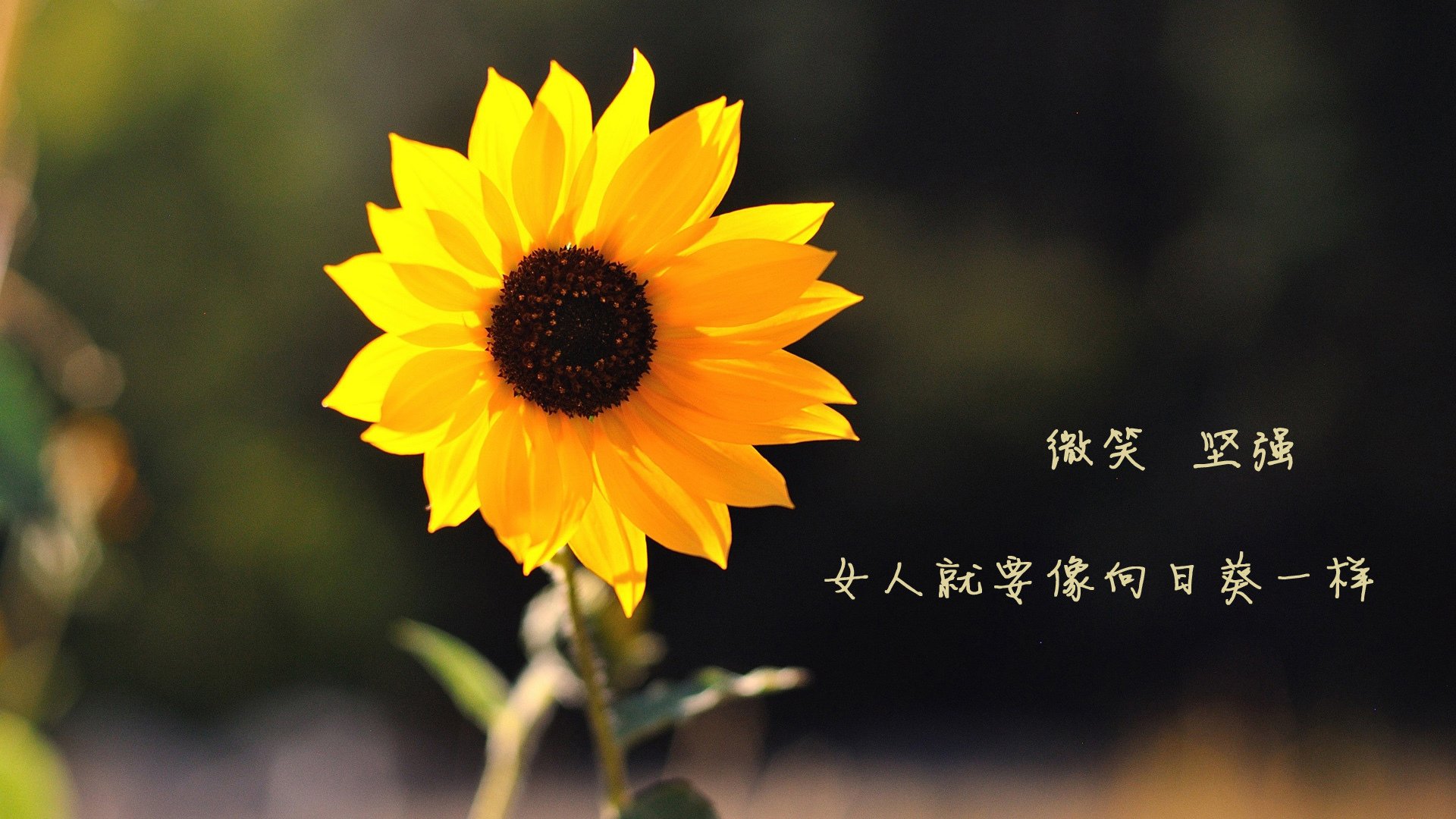 开云中国-比赛节奏稳定，展现比赛掌控能力，比赛节奏是什么意思