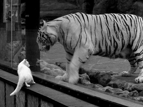 热火训练后组织团队游戏增强队友默契,团队成员熟悉互动小游戏